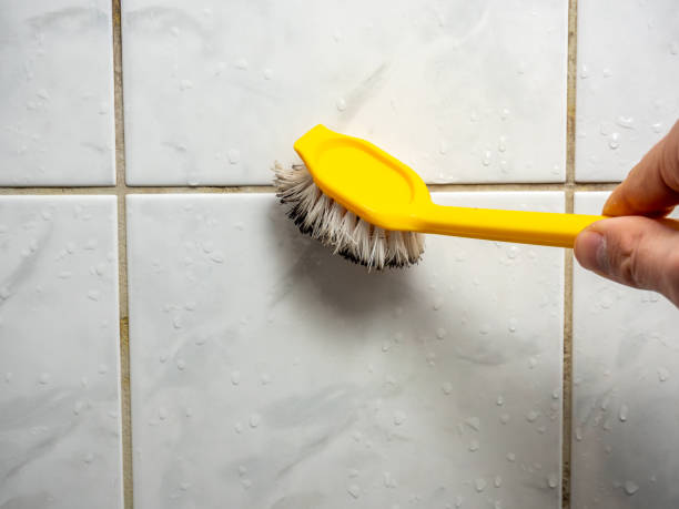 Goddard, KS Mold Removal Company