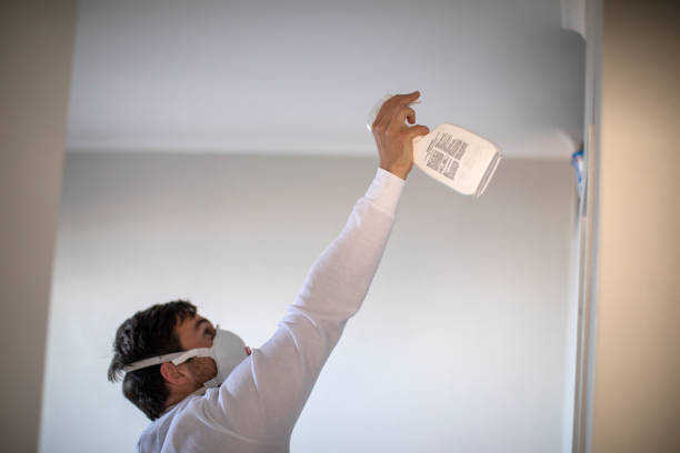Best Mold Cleaning Services  in Goddard, KS